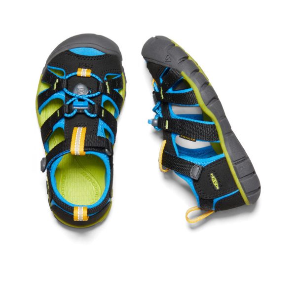 Little Kids' Seacamp II CNX | Black/Brilliant Blue