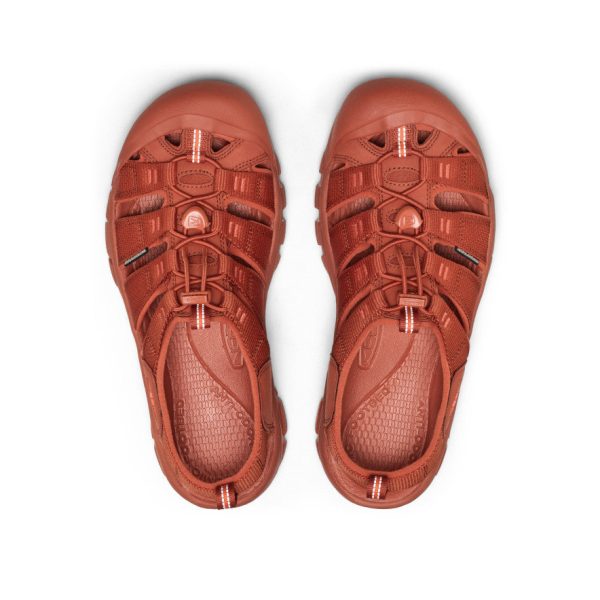 Men's Newport H2 Sandal  |  Monochrome/Burnt Brick