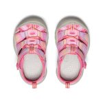 Toddlers' Newport H2 | Hot Pink/Orchid Petal