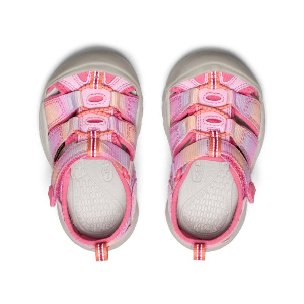 Toddlers' Newport H2 | Hot Pink/Orchid Petal