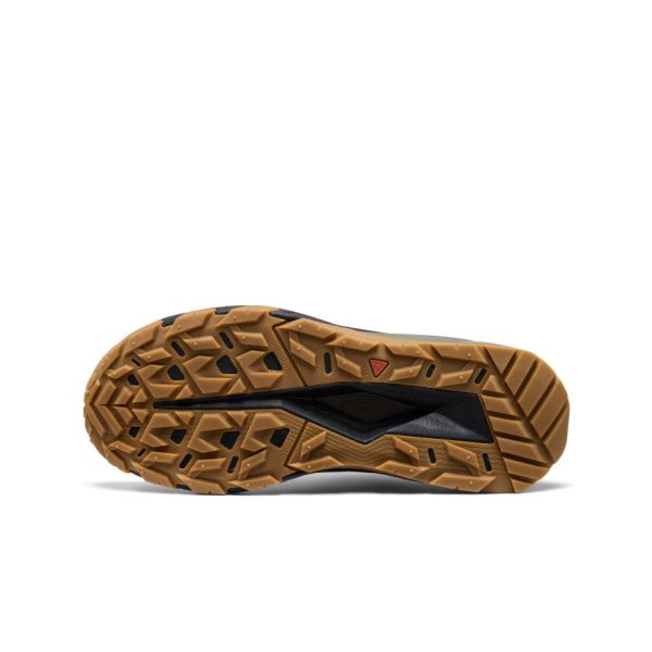 Men's Targhee Apex Waterproof Hiking Shoe | Brindle/Canteen