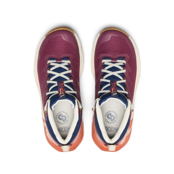 Women's Targhee Apex Waterproof Hiking Boot | Fig/Burnt Brick