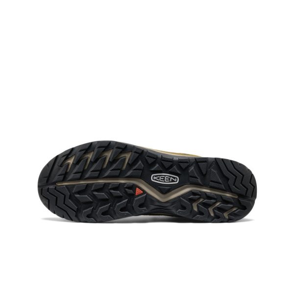 Men's Hightrail Waterproof Hiking Shoe | Forest Night/Dark Olive