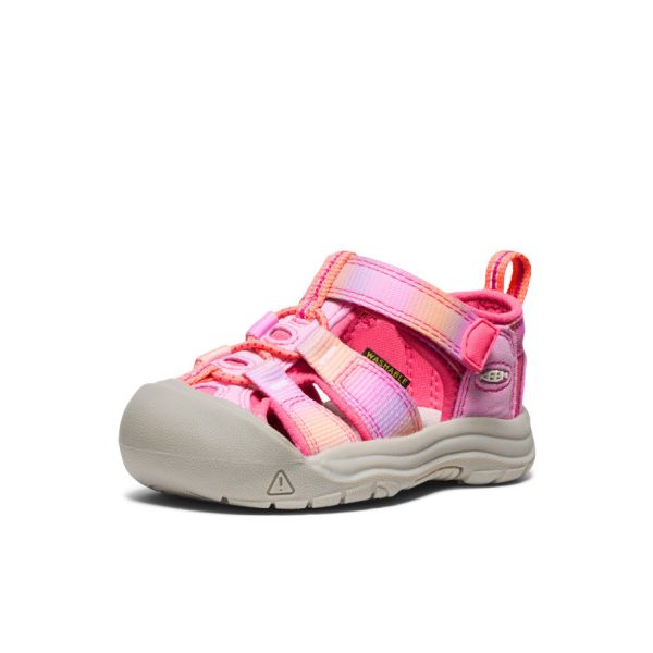 Toddlers' Newport H2 | Hot Pink/Orchid Petal
