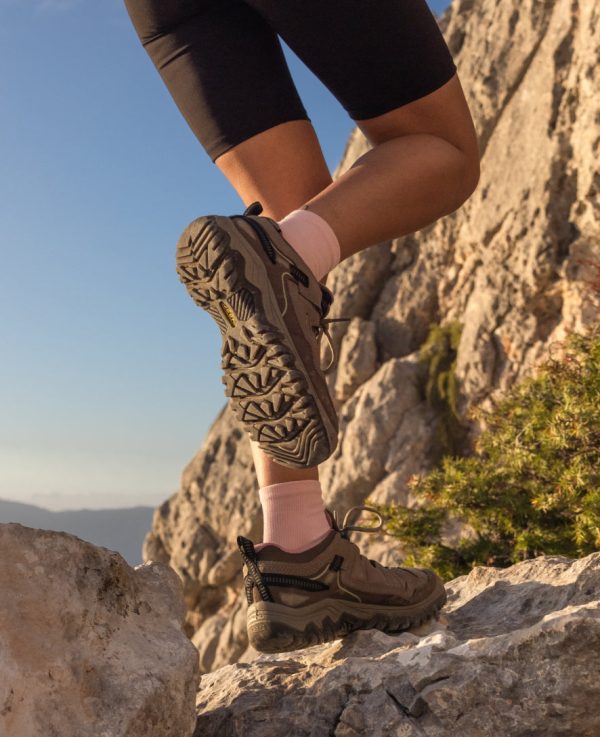 Women's Targhee IV Waterproof Hiking Shoe | Alloy/Granite Green