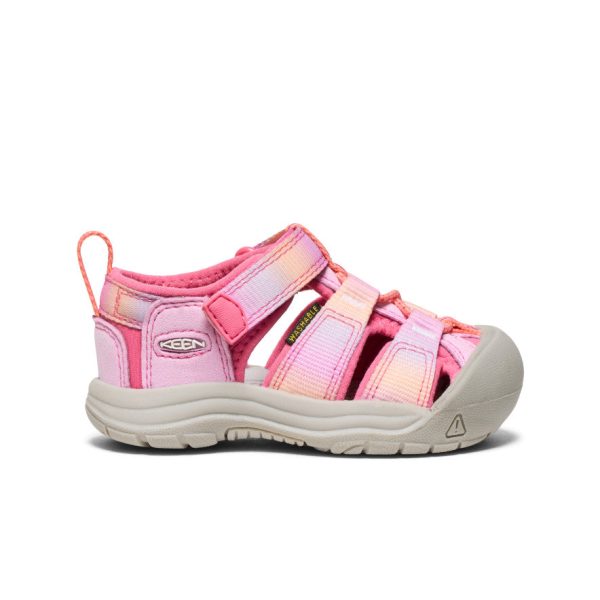 Toddlers' Newport H2 | Hot Pink/Orchid Petal