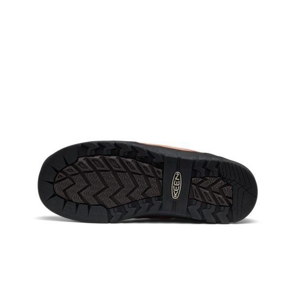Women's Jasper Rocks Sneaker | Cork/Java